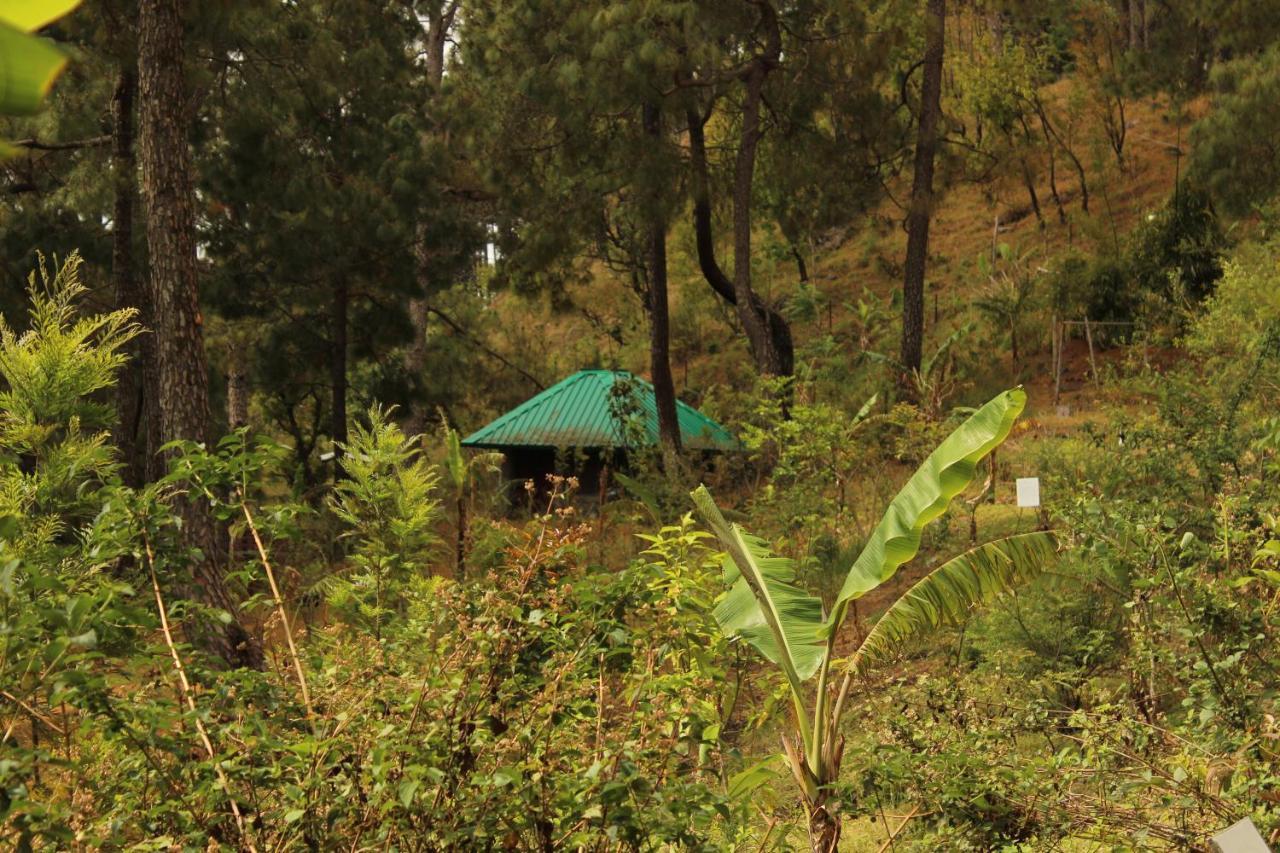 Heal Farm - Himalayan Eco Alternative Lifestyle For Agriculture Recreation And Meditation Найнітал Екстер'єр фото